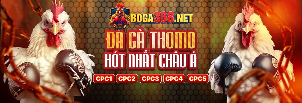 Hình ảnh chính về cách sử dụng liên kết ceo666 an toàn và hiệu quả