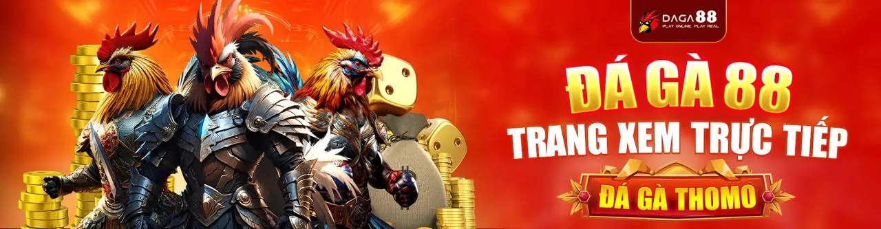 Người dùng ceo666 link mới tuân thủ quy định sử dụng dịch vụ